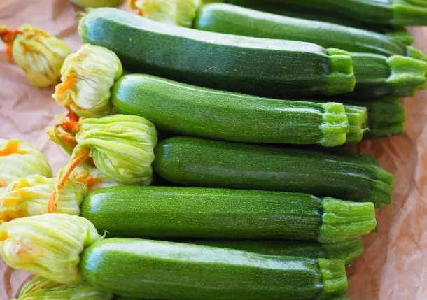 Courgette Mini – Les Doux Jardins du Vivarais