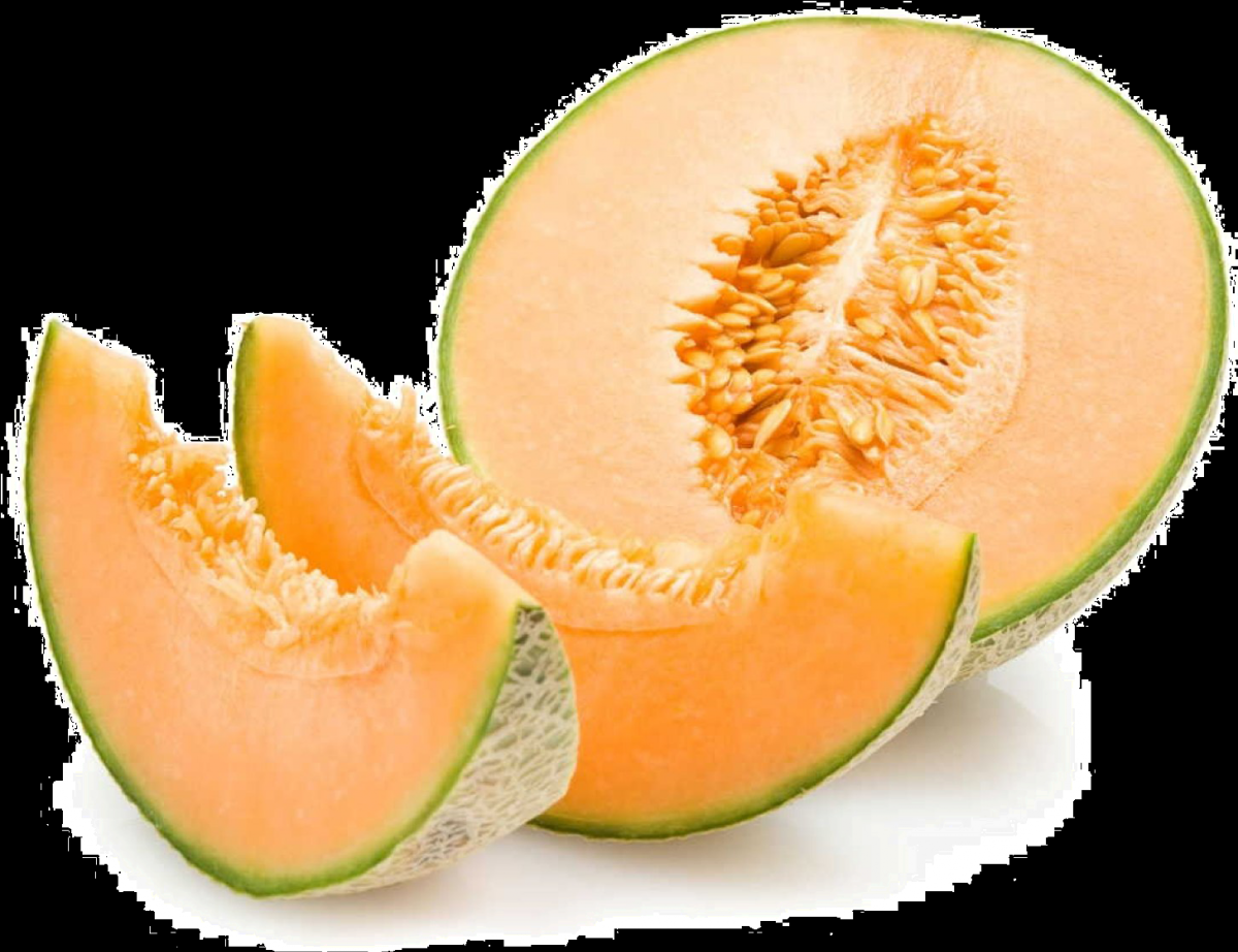 Melon – Les Doux Jardins du Vivarais