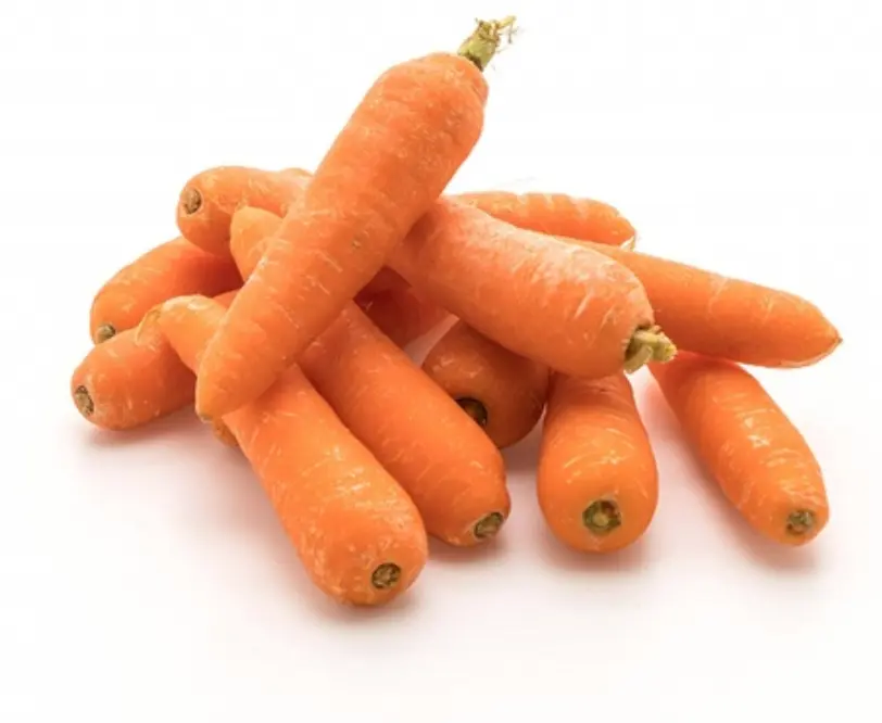 Mini Carotte – Les Doux Jardins du Vivarais